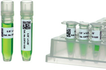 Thermal Transfer Cryo-Tags® - Diversified Biotech, Inc.